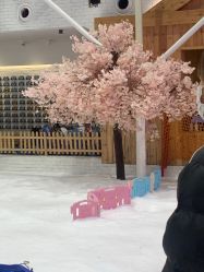 -Mr·Kuma酷么先生雪之乐园