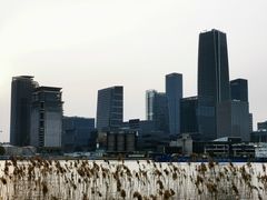 -上海山野camping·户外天幕烧烤·团建拓展营地