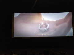 -AMG海上明珠影城(上海环球港RealDCinema店)