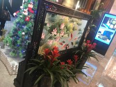 -明仕田园酒店