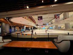 -TheRink大零溜冰场(IFS国金中心店)