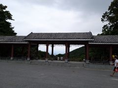 -广州市帽峰山景区
