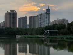 -莲花池公园