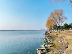 -漕湖湿地公园