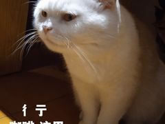 -彳亍咖啡·这里(水湾路店)