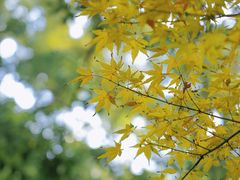 -宁波市保国寺古建筑博物馆