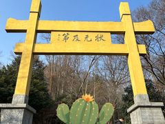 -老山国家森林公园