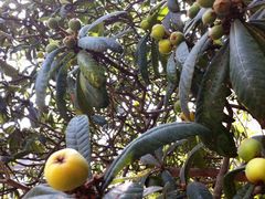 -厦门良筑精品酒店(厦门中山路店)