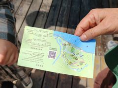 -合肥滨湖国家森林公园