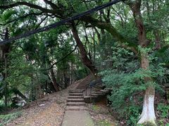 -马王堆汉墓遗址
