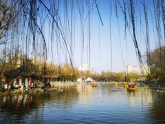 -莲湖公园