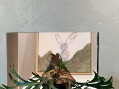 -luutosa  cafe & tea 鹿兔山