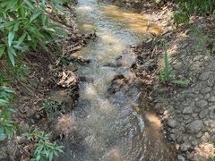 -滴水岩森林公园