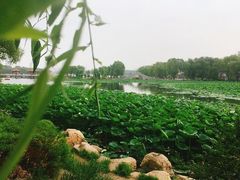 -长春市南湖公园