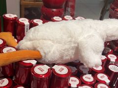 -满园烤鸭·春饼(抚顺万达店)