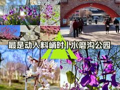 -水磨沟公园