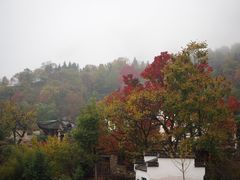 -塔川景区