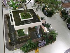 -国芳中心