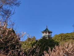 -无锡梅园公园