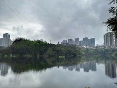 -重庆彩云湖湿地公园