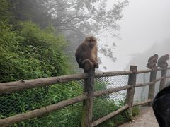 -峨眉山风景名胜区