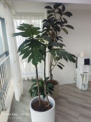 -HEYAN荷妍专业脱毛连锁机构