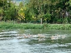 -东钱湖小普陀景区