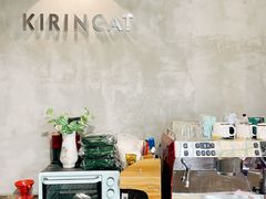 -十年猫舍·猫咪专门店(普陀店)