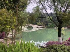 -铁山坪森林公园