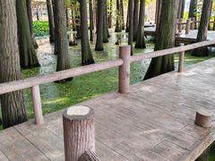 -东湖落雁景区