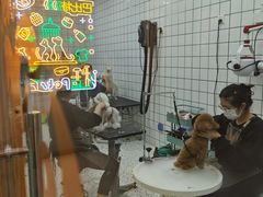 -BABIT巴比特宠物(MOMOPARK店)