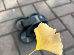 -蟹天蟹地农家菜·阳澄湖大闸蟹(浅水湾店)