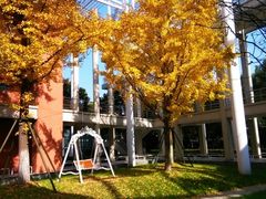 -华东师范大学第二附属中学(张江校区)