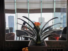 -悦轩中餐厅·高空江景·杭州柏悦酒店