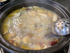 -蘑统田下·野生菌火锅