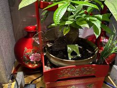 -南门四季铜锅涮肉(大屯·北苑店)