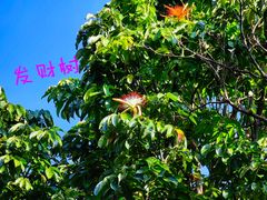 -野象谷景区