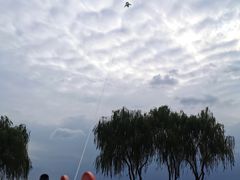 -漕湖湿地公园