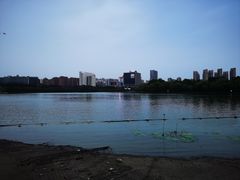 -天鹅湖体育公园