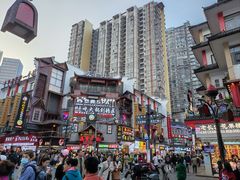 -黑色经典臭豆腐·湖南特产(步行街店)