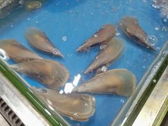 -板桥海鲜广场(文明东店)