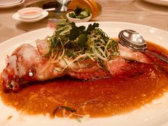 -陶陶居海鲜酒家(新马路店)