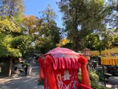 -白家大院·王府宫廷菜(苏州街店)