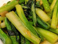 迟菜心-太子园林酒家