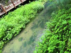 -小七孔景区东门售票处