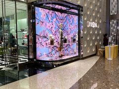 -PRADA普拉达(国金中心店)