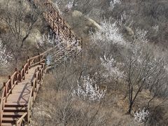 -大岭沟猕猴桃谷风景区