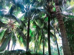 -三亚湾海居铂尔曼度假酒店