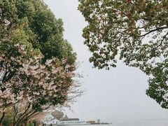 -无锡蠡湖国家湿地公园-蠡园