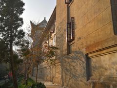 -武汉大学-樱园